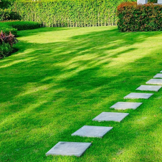 6169